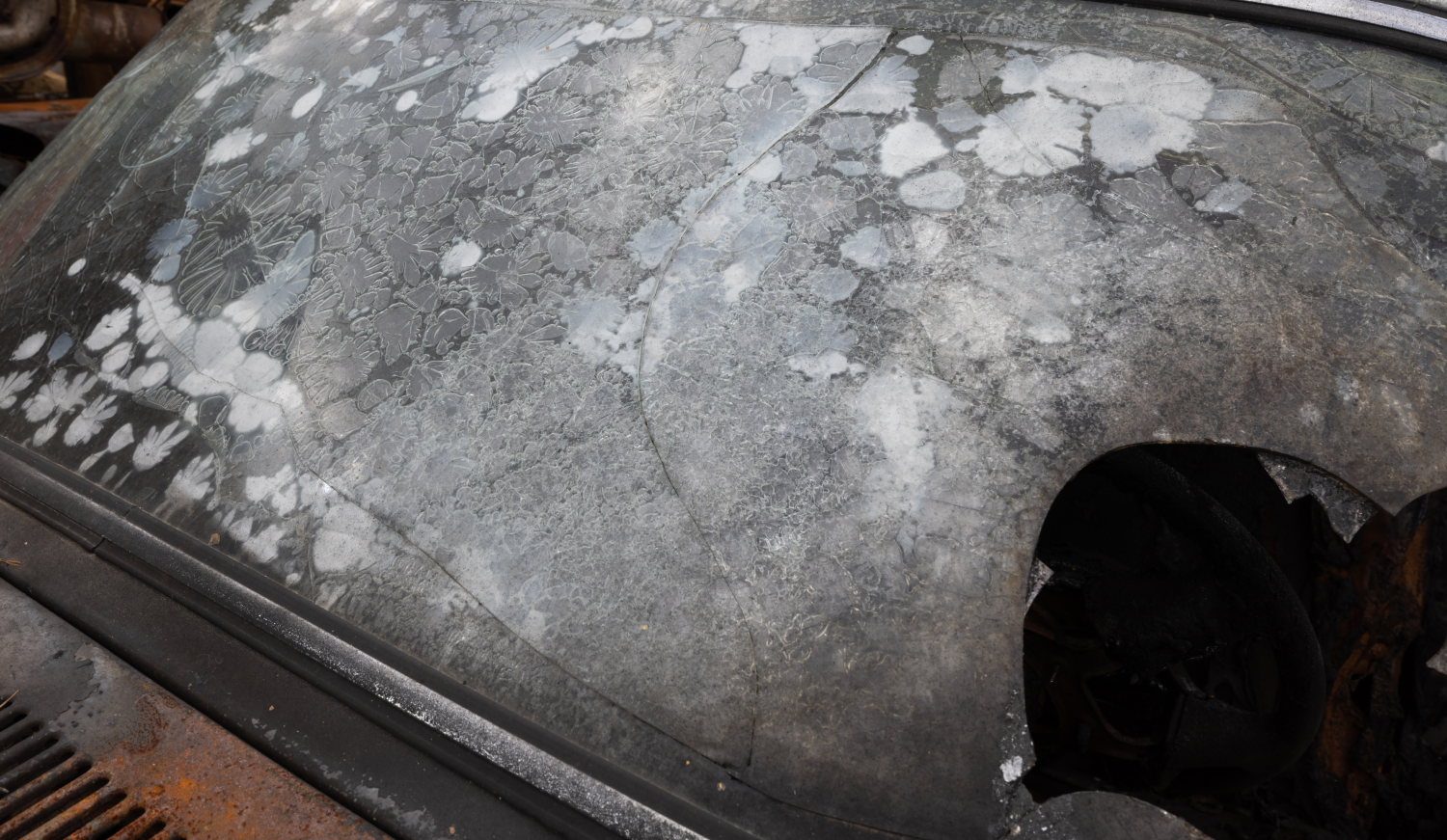 ruined windshield